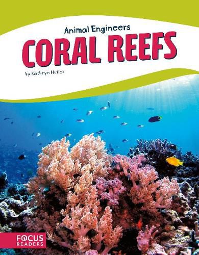 Animal Engineers: Coral Reef