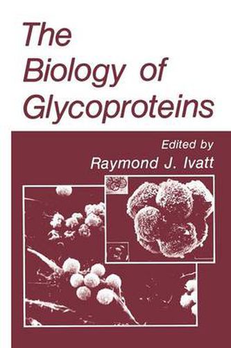 Cover image for The Biology of Glycoproteins