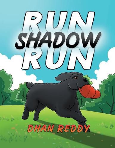 Cover image for Run Shadow Run