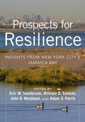 Prospects for Resilience: Insight from New York City's Jamaica Bay