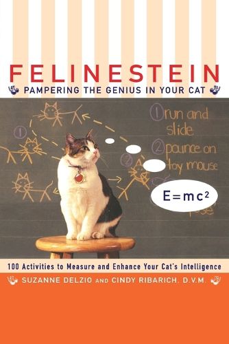 Cover image for Felinestein