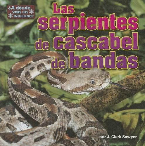 Las Serpientes de Cascabel de Bandas