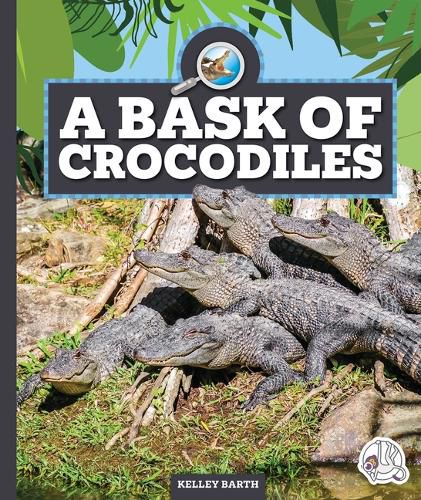 A Bask of Crocodiles