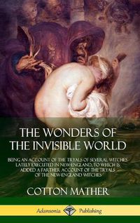 Cover image for The Wonders of the Invisible World