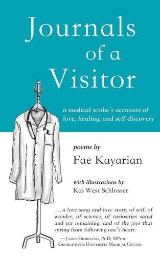 Cover image for Journals of a Visitor: A Medical Scribe's Accounts of Love, Healing, and Self-discovery