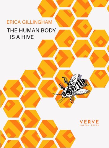 Cover image for The Human Body Is A Hive