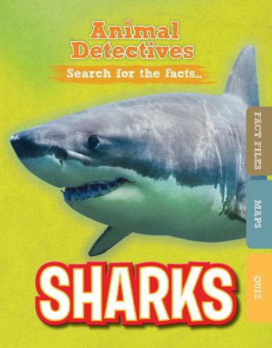 Cover image for Sharks