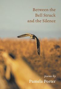 Cover image for Between the Bell Struck and the Silence