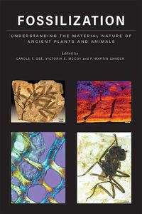 Cover image for Fossilization: Understanding the Material Nature of Ancient Plants and Animals