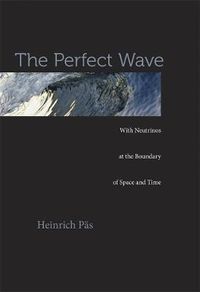 Cover image for The Perfect Wave: With Neutrinos at the Boundary of Space and Time