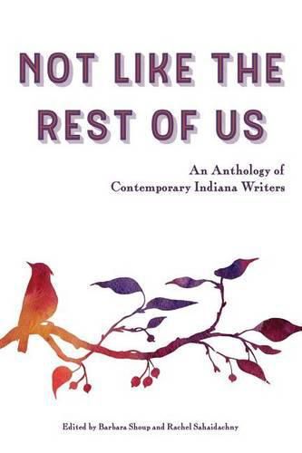 Cover image for Not Like the Rest of Us: An Anthology of Contemporary Indiana Writers