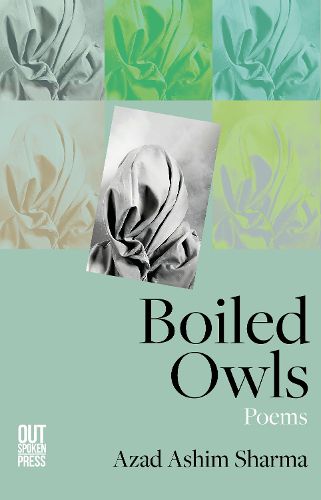 Cover image for Boiled Owls