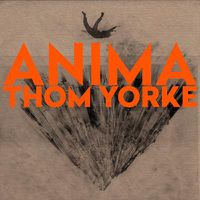 Cover image for Anima