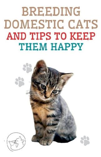 Cover image for Breeding Domestic Cats and Tips to Keep Them Happy