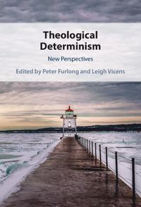 Cover image for Theological Determinism: New Perspectives