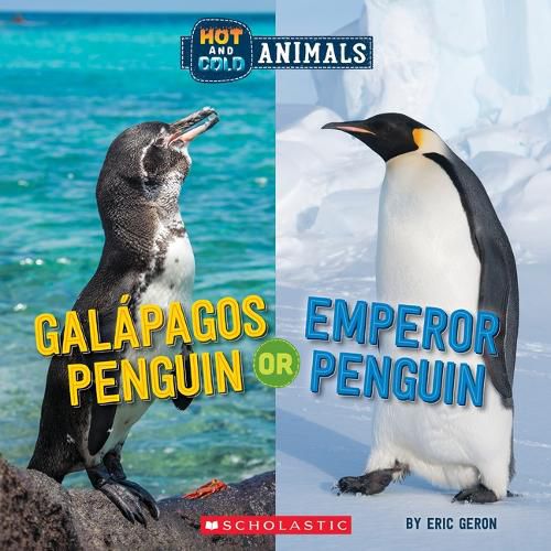 Galapagos Penguin or Emperor Penguin (Hot and Cold Animals)