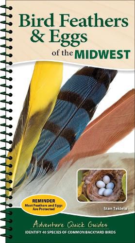 Cover image for Bird Feathers & Eggs of the Midwest