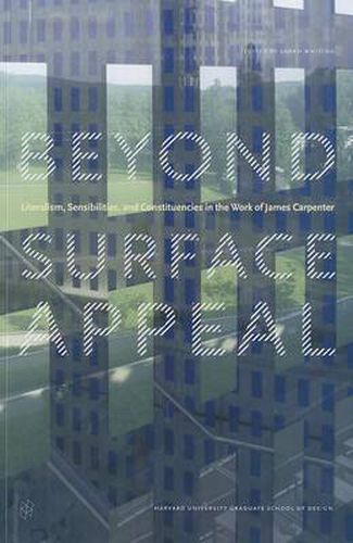 Cover image for Beyond Surface Appeal: Literalism, Sensibilities, and Constituencies in the Work of James Carpenter