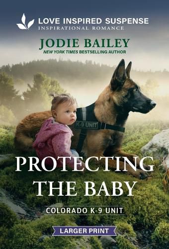Cover image for Protecting the Baby