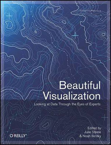 Cover image for Beautiful Visualization : Looking At Data Through The Eyes Of Experts