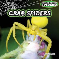 Cover image for Crab Spiders