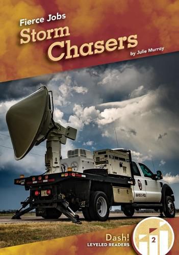 Cover image for Storm Chasers