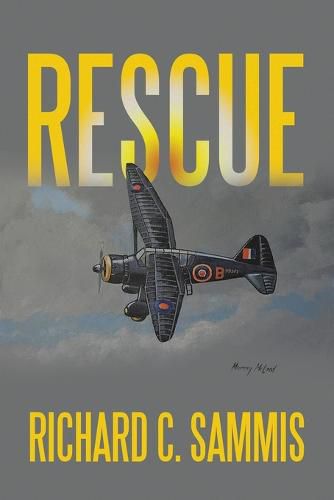 Cover image for Rescue