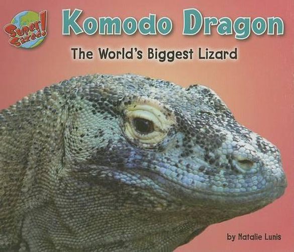 Komodo Dragon: The World's Biggest Lizard