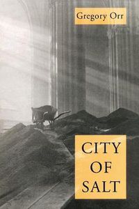 Cover image for City Of Salt