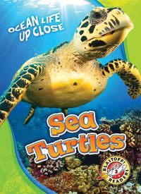 Cover image for Sea Turtles