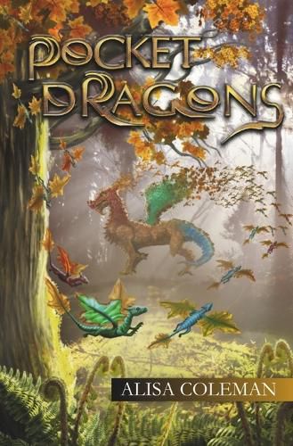 Cover image for Pocket Dragons