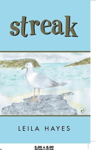 Cover image for Streak