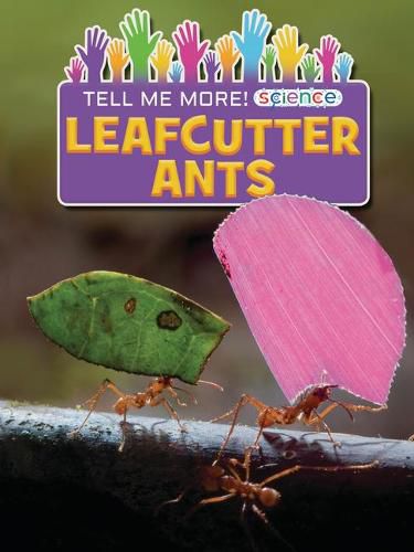 Cover image for Leafcutter Ants