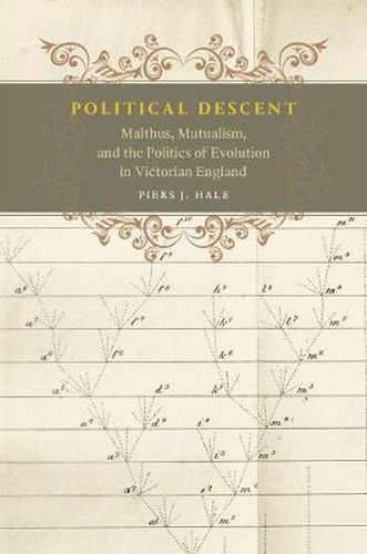 Cover image for Political Descent