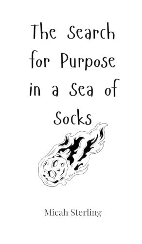 Cover image for The Search for Purpose in a Sea of Socks