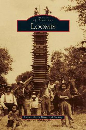 Cover image for Loomis