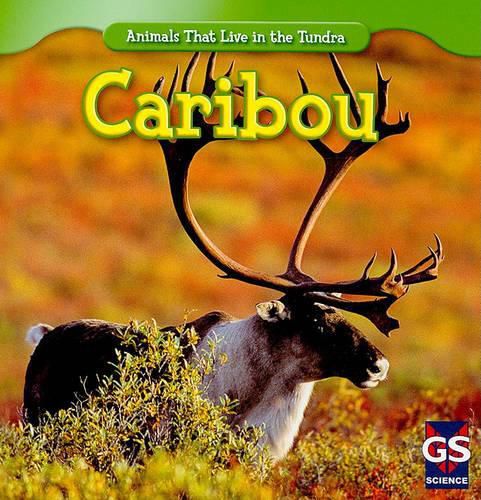 Cover image for Caribou