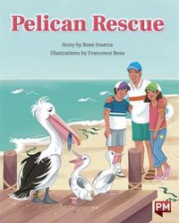 Cover image for Pelican Rescue