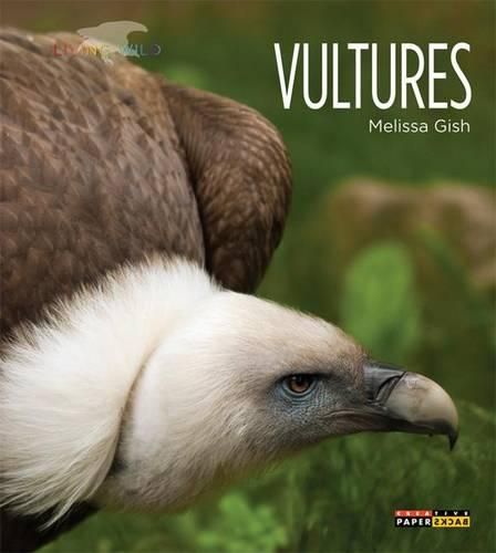 Cover image for Vultures