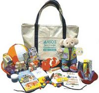 Cover image for Ages & Stages Questionnaires (R) (ASQ-3 (R)): Materials Kit: A Parent-Completed Child Monitoring System