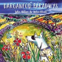 Cover image for Darganfod Paradwys