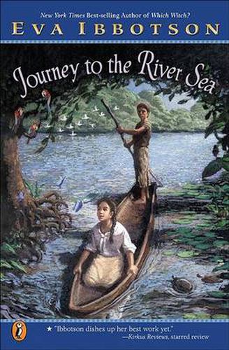 Cover image for Journey to the River Sea