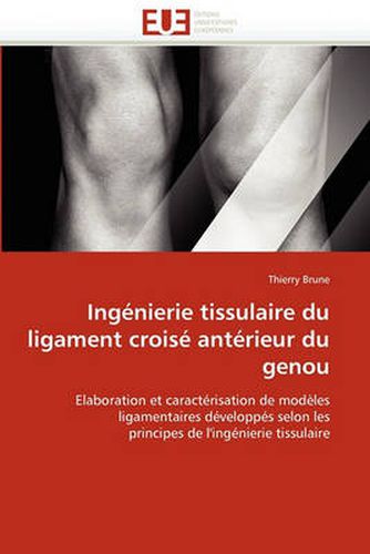 Cover image for Ingenierie Tissulaire Du Ligament Croise Anterieur Du Genou