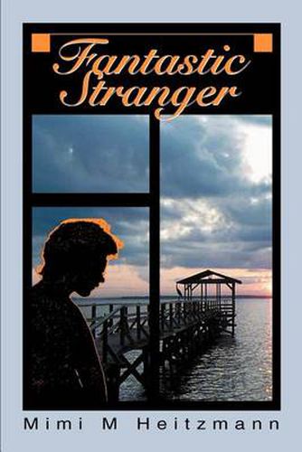 Cover image for Fantastic Stranger