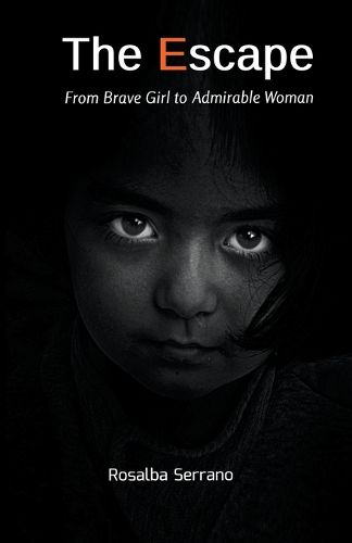 Cover image for The Escape