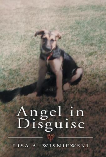 Cover image for Angel in Disguise