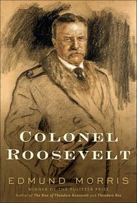 Cover image for Colonel Roosevelt