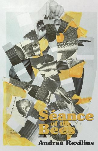 Cover image for Seance of the Bees