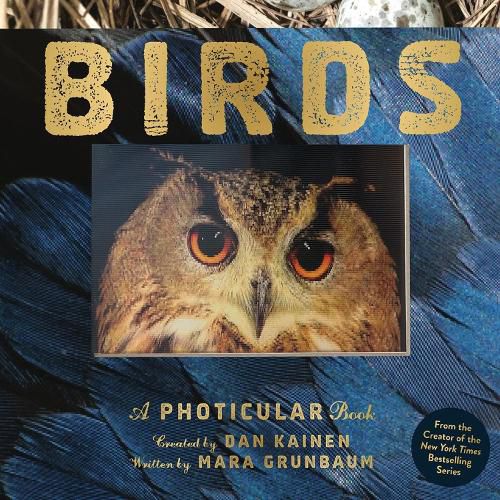 Cover image for Birds