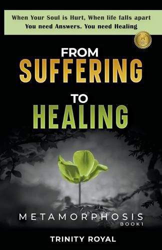 Cover image for From Suffering to Healing